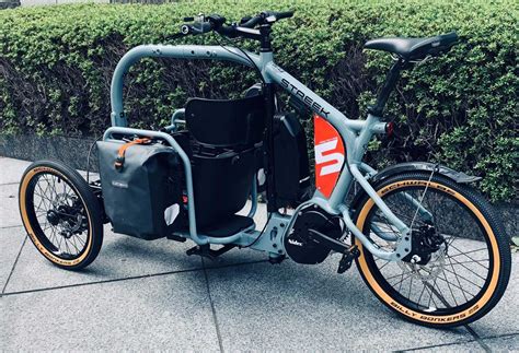 Envision Streek Létonnant Vélo Cargo électrique Japonais