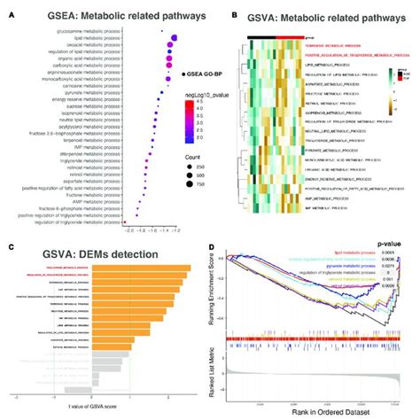 Gene Set Enrichment Analysis Gsea And Gene Set Variation Analysis