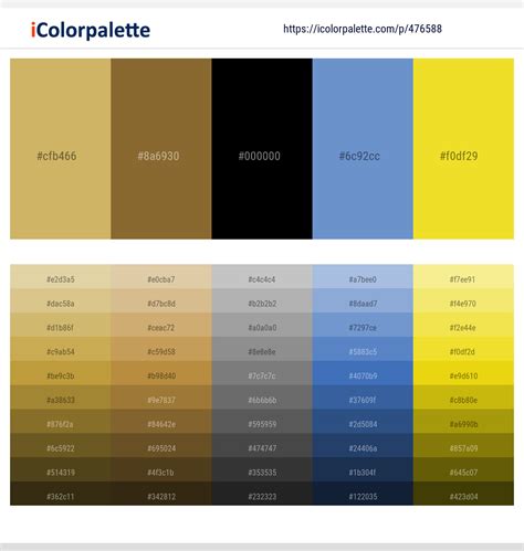 130 Latest Color Schemes With Black And Gold Color Tone Combinations