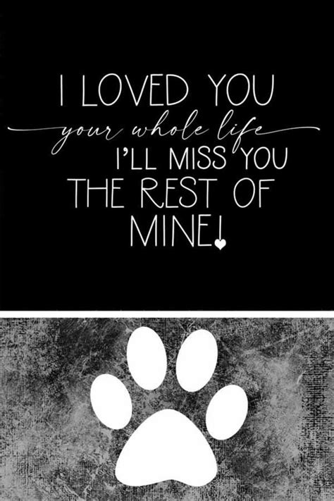 Pet memorial quotes dog memorial quotes sympathy quotes pet loss memorial verse cat memorial ...