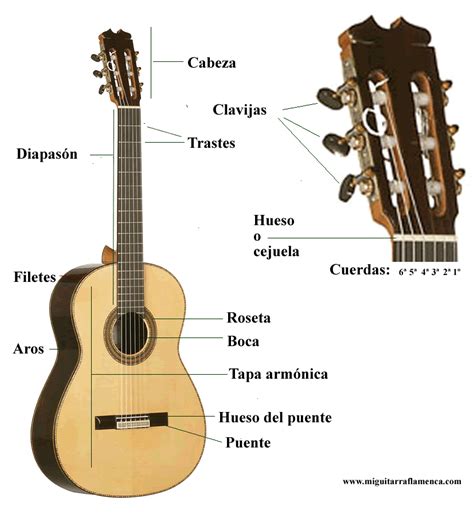 Partes De La Guitarra Espa Ola