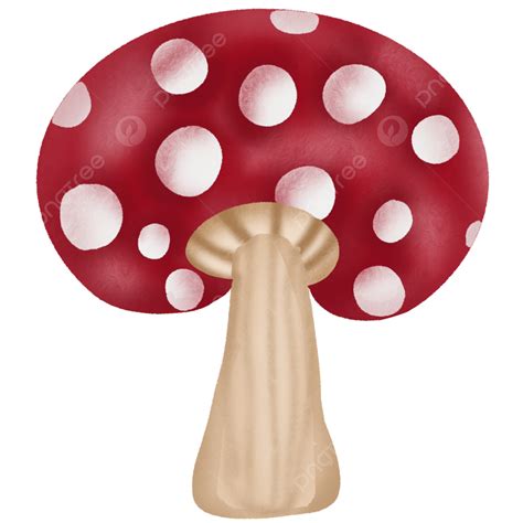 Mushroom Illustration Mushrooms Vegetables Illustration Png