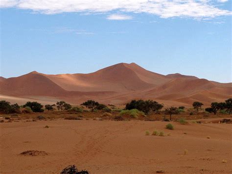 Big Mama Dune Photograph By Cindy Kellogg Fine Art America