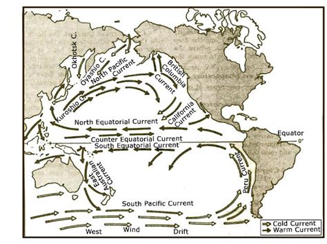 QUESTIONS ON GEOGRAPHY: the currents of the Pacific Ocean.