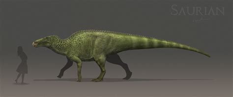 Chris Masna Anatosaurus Annectens