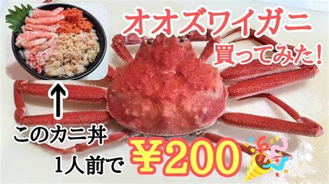 今、北海道で大量発生している話題のオオズワイガニ🦀激安・激旨で感激🤩 Youtube