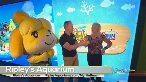 Ripley's Aquarium kicks off Nintendo Animal Crossing: New Horizons Tour - WFXB