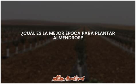 La época ideal para plantar almendros ALMARURAL