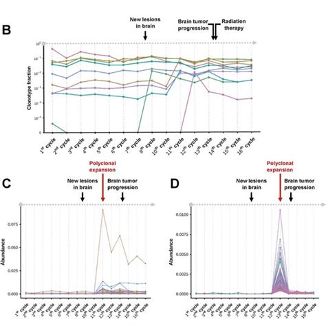 A Distribution Of Tcrβ Clonotypes Of The Patient During The