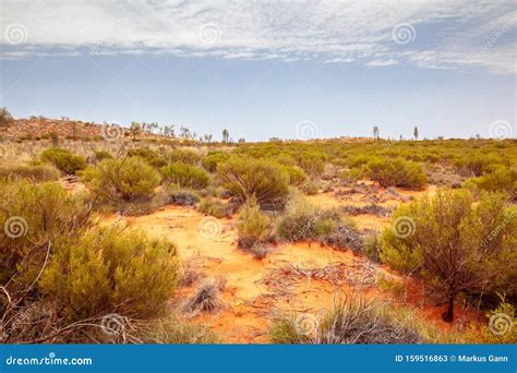 Landscape Scenery of the Australia Outback Stock Image - Image of bush ...