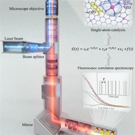 SAC FCS Setup And Mechanism Schematic Of The Single Atom Catalysis