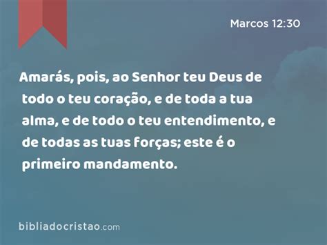 Marcos 12 30 Amarás pois ao Senhor teu Deus de todo o teu coração