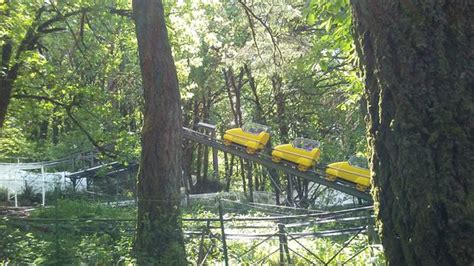 Enchanted Forest Theme Park Salem All You Need To Know Before You