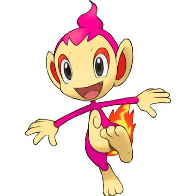 Is There A Shiny Chimchar In Pokemon Go Marhta Mezquita