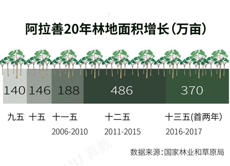 考考你！中国哪个省份森林面积最大？湃客澎湃新闻 The Paper