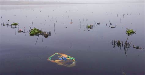 La Presa Alzate En Tlachaloya Se Ha Convertido En Un Tiradero De Basura