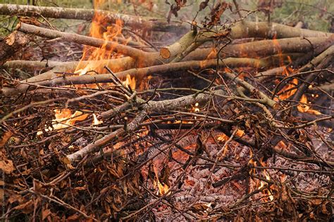 how long does wood need to dry before burning