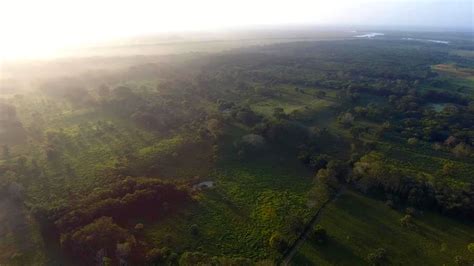 Archaeologists Discover Largest and Oldest-Known Maya Monument ...