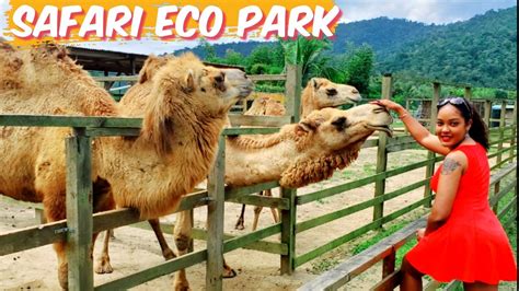 Safari Eco Park Chaguaramas Trinidad Trinidad Youtuber Youtube