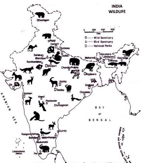 Wildlife Sanctuary In India Map