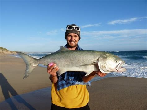 95cm WA South Coast Tailor | Fishing - Fishwrecked.com - Fishing WA ...