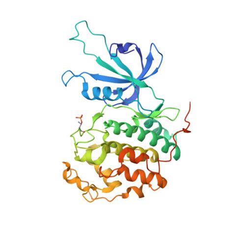 RCSB PDB 8P81 Crystal Structure Of Human Cdk12 Cyclin K In Complex