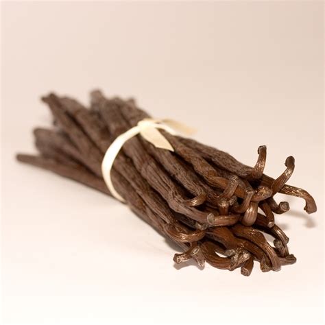 Natural vanilla Eurovanille - Euroco