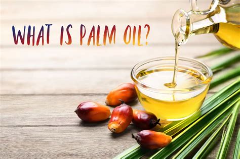 What Is Palm Oil The Coconut Mama