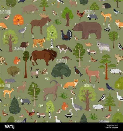 Temperate Forest Biome Animals