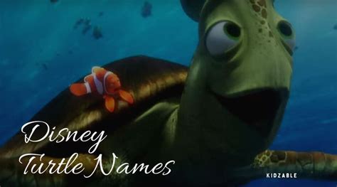 Disney Turtle Names: 160+ Names For Turtles From Disney Movies | Turtle ...