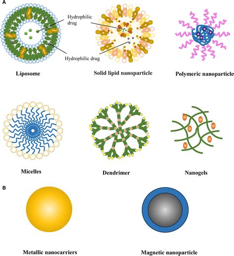 Frontiers Nanocarrier Drug Delivery System Promising Platform For