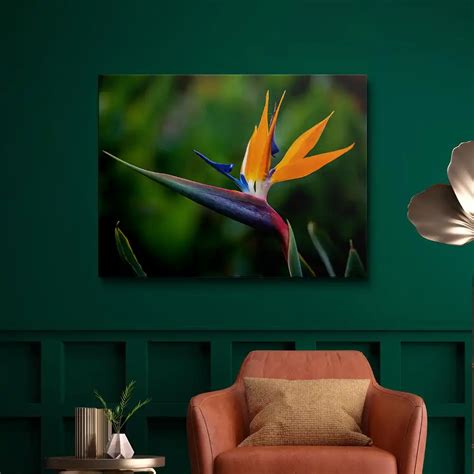 Bird Of Paradise Painting | Art Of Paint By Numbers