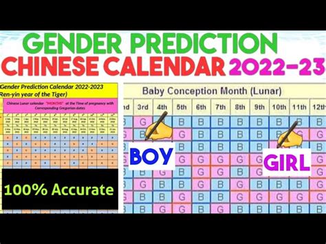 Chinese Baby Calendar 2023 – Get Calendar 2023 Update