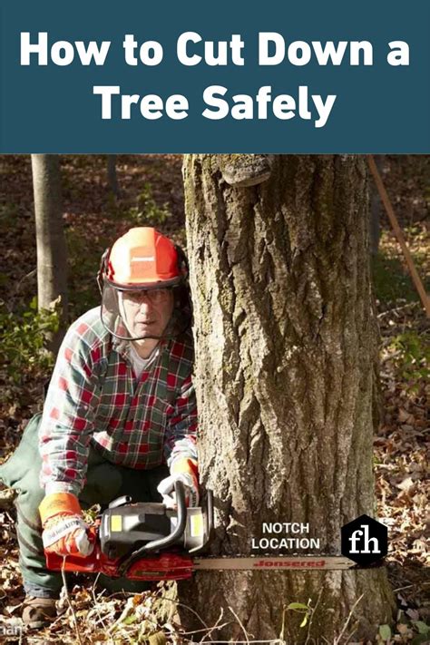 How To Cut Down A Tree Safely Artofit