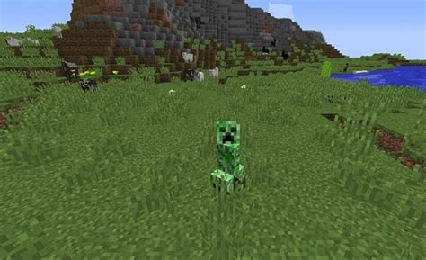 Download Morph addon for Minecraft PE 1.20.32