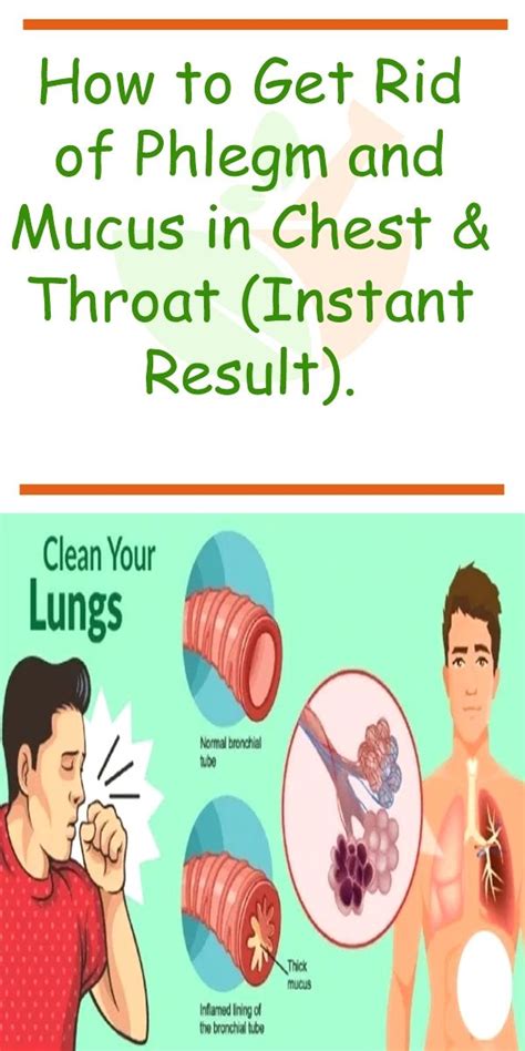 What Causes Excessive Phlegm In The Throat