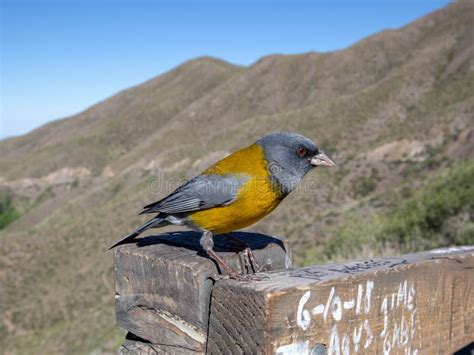 Reserva Natural De Villavicencio Los Andes Provincia De Mendoza