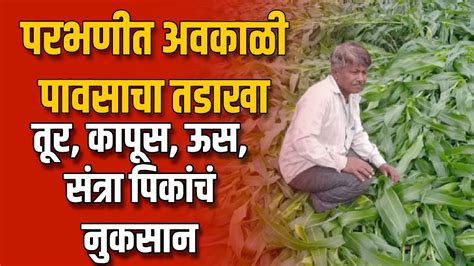 Parbhani Crop Loss परभणीत अवकाळी पावसाचा तडाखा तूर कापूस ऊस संत्रा पिकांचं नुकसान Youtube