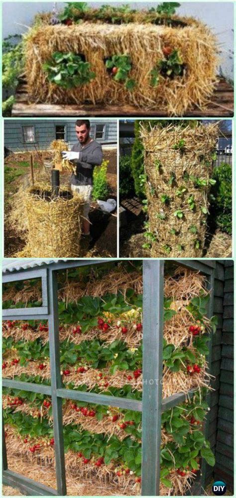 10 Space saving Strawberry Garden Gardening Planter Ideas