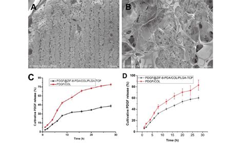 Characterization Of Pdgf Zif Pda Col Plga Tcp Composite Scaffolds A