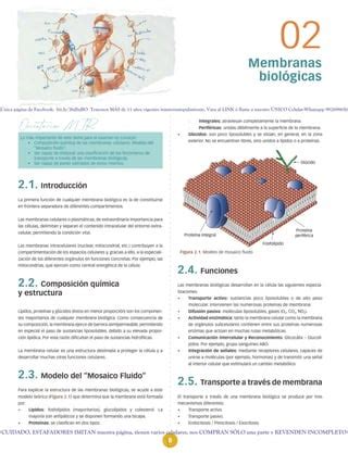 Manual CTO Bioquímica 12 edición pdf