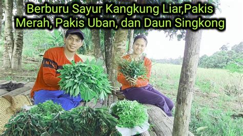 Berburu Sayur Kangkung Liar Pakis Merah Pakis Uban Dan Daun Singkong