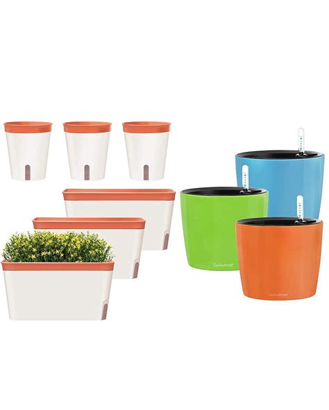 Buy GardenBasix Self Watering Er Rectangle Window Box Set Of 6 For