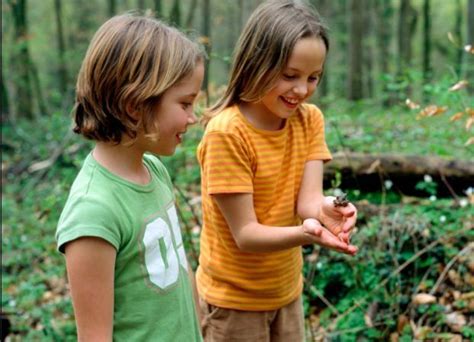 10 Actividades Ecológicas Para Realizar Con Niños