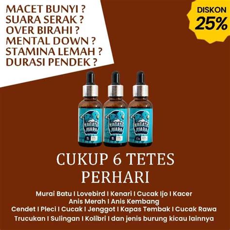 Nagata Juara Penggacor Burung Kicau Lazada Indonesia