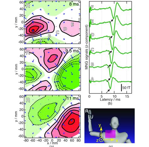 A Example Of The Transition Of The Distribution Of The Magnetic Field Download Scientific