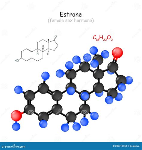 Estrone Oestrone Human Estrogen Hormone Molecule Skeletal Formula