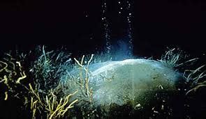 Seafloor Microplastic Hotspots Controlled By Deep Sea Circulation The