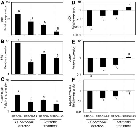 Relative Expression Of The Select Gene Set In Tomato Wild Type Wt