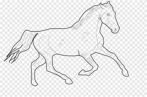 Line Art American Paint Horse Foal Mustang Pony Line Drawing Horse